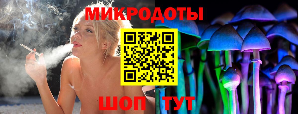 Псилоцибиновые грибы Psilocybine cubensis Норильск